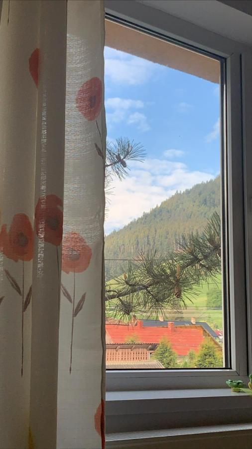 Good Vibes Apartment Campulung Moldovenesc Bagian luar foto