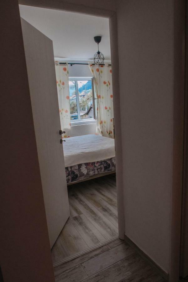 Good Vibes Apartment Campulung Moldovenesc Bagian luar foto